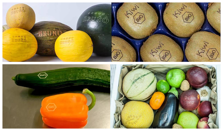 M&aacute;quina de codificaci&oacute;n l&aacute;ser para envasado de alimentos.png